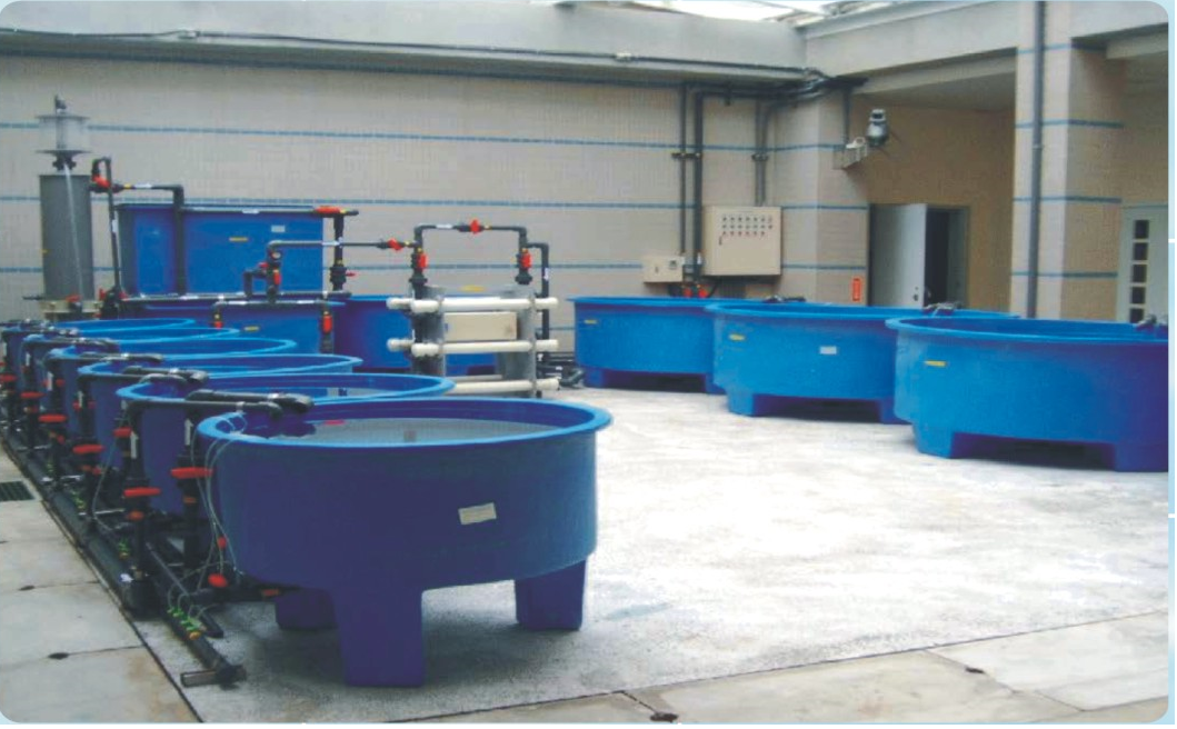 RAS System & Equipment